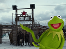 https://image.noelshack.com/fichiers/2020/37/7/1600015291-goulag-kermit.jpg