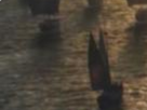 https://image.noelshack.com/fichiers/2020/38/1/1600089269-11-kl5try8w.png