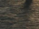 https://image.noelshack.com/fichiers/2020/38/1/1600089270-16-kl5try8w.png