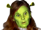 https://image.noelshack.com/fichiers/2020/38/5/1600431642-mere-shrek.png