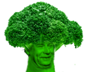 https://image.noelshack.com/fichiers/2020/38/5/1600444637-jesus-marlou-brocoli.png