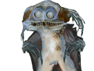 https://image.noelshack.com/fichiers/2020/39/2/1600738003-poisson-cucky-exibi.png
