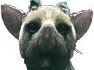 https://image.noelshack.com/fichiers/2020/39/2/1600801622-tricoent.png