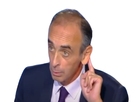 https://image.noelshack.com/fichiers/2020/39/3/1600867079-zemmour-oreille.png