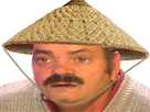 https://image.noelshack.com/fichiers/2020/39/5/1601046581-risiboulbe-chapeau-chinois.png