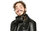 https://image.noelshack.com/fichiers/2020/39/6/1601125409-post-malone2.png