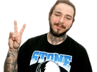 https://image.noelshack.com/fichiers/2020/39/6/1601125666-post-malone7.png