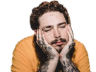 https://image.noelshack.com/fichiers/2020/39/6/1601126761-post-malone10.png