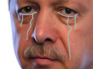 https://image.noelshack.com/fichiers/2020/39/7/1601223704-erdochiale.jpg