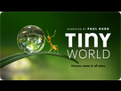 https://image.noelshack.com/fichiers/2020/40/5/1601618479-200910-tiny-world.png