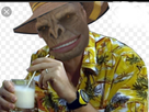 https://image.noelshack.com/fichiers/2020/40/5/1601669252-19528fc5-e670-419b-b5a4-3a2b903cf27f.jpeg