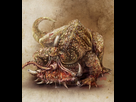 https://image.noelshack.com/fichiers/2020/41/1/1601851955-toad-dragon-png.jpg