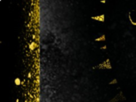 https://image.noelshack.com/fichiers/2020/41/3/1602089784-17-nj0ol5rb.png