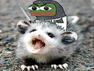 https://image.noelshack.com/fichiers/2020/42/1/1602492145-templarpepe.jpg