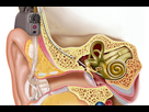 https://www.noelshack.com/2020-42-1-1602509114-implant-cochleaire-opengraph.jpg