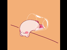 https://image.noelshack.com/fichiers/2020/42/2/1602602688-kirby-kirby-drawn-by-amedama-akaki-4207-756cb7e2ca1913a337c864782c572929.png