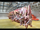 https://image.noelshack.com/fichiers/2020/42/4/1602716283-93767074-abattoir-des-moities-de-betail-fraichement-abattues-accrochees-au-crochet-d-une-chambre-froide-d-une-b.jpg