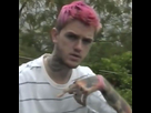 https://image.noelshack.com/fichiers/2020/42/6/1602887751-lil-peep-pink.jpg