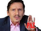 https://image.noelshack.com/fichiers/2020/43/1/1603058592-dailletzemmourpaz.png