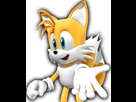 https://image.noelshack.com/fichiers/2020/43/2/1603148306-sonic-rivals-2-miles-tails-prower.png