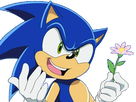 https://image.noelshack.com/fichiers/2020/43/2/1603153837-sonic-holding-a-flower-transparent.png