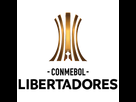 https://www.noelshack.com/2020-43-2-1603202800-libertadores.png