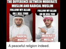 https://image.noelshack.com/fichiers/2020/43/3/1603310344-the-difference-between-moderate-muslim-and-radical-muslim-follow-my-32982943.png