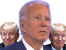 https://image.noelshack.com/fichiers/2020/43/5/1603411120-trumped2.png