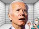 https://image.noelshack.com/fichiers/2020/43/5/1603411158-bidenfou.png