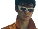 https://image.noelshack.com/fichiers/2020/43/5/1603447149-sunglasses.png