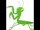 https://image.noelshack.com/fichiers/2020/43/5/1603458489-mantis5.jpg