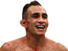 https://image.noelshack.com/fichiers/2020/43/6/1603535949-tony-ferguson-en-joie.png