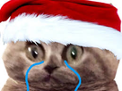 https://image.noelshack.com/fichiers/2020/43/6/1603570113-images-38.jpg