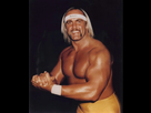 https://image.noelshack.com/fichiers/2020/44/6/1604175066-hulk-hogan.jpg