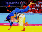 https://image.noelshack.com/fichiers/2020/44/6/1604179930-deepfryer-20201031-223132.jpg