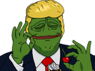 https://image.noelshack.com/fichiers/2020/44/7/1604226906-trumpepe.png