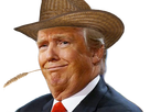https://image.noelshack.com/fichiers/2020/45/2/1604416370-trumpcowboy.png