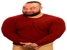 https://image.noelshack.com/fichiers/2020/45/2/1604417142-524420.png