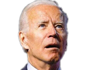 https://image.noelshack.com/fichiers/2020/45/2/1604420613-hauribiden.png