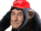 https://image.noelshack.com/fichiers/2020/45/2/1604436719-chimpanzeamerica.png