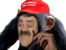 https://image.noelshack.com/fichiers/2020/45/2/1604436722-cigaretteamerica.png
