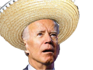 https://image.noelshack.com/fichiers/2020/45/2/1604441482-biden.png