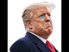 https://image.noelshack.com/minis/2020/45/3/1604496651-1604496171-donald-trump.png