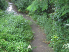 https://image.noelshack.com/fichiers/2020/45/3/1604514135-le-ruisseau-de-taille-1560518694.jpg