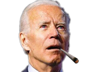 https://image.noelshack.com/fichiers/2020/45/4/1604581508-biden-foncede.png