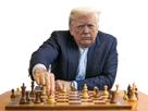 https://image.noelshack.com/fichiers/2020/45/4/1604589157-trump-chess-mastermind.png