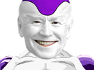 https://image.noelshack.com/minis/2020/45/5/1604684556-bidenzer.png
