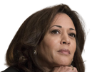 https://image.noelshack.com/fichiers/2020/45/6/1604768854-kamala.png