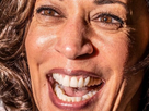 https://image.noelshack.com/fichiers/2020/45/7/1604846593-kamala-harris.jpeg