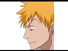 https://image.noelshack.com/minis/2020/45/7/1604872545-kurosaki-5.png
